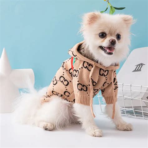 gucci dog clothes|gucci dog clothes wholesale.